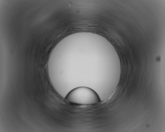 X0000101480184200807071252
