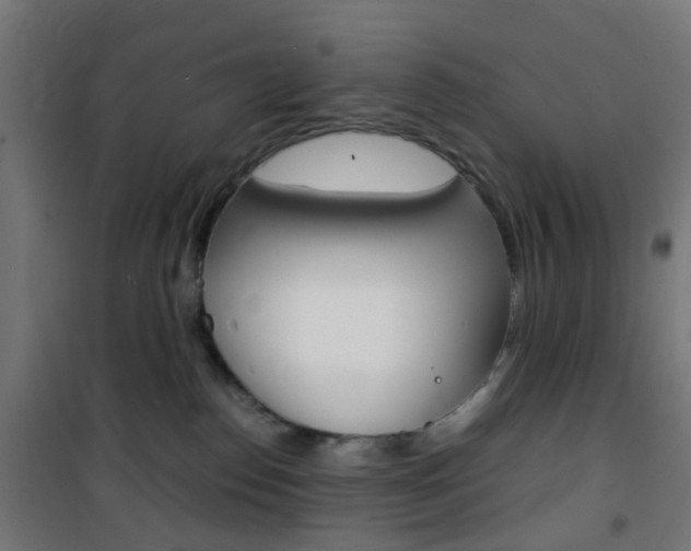 X0000101480186200807071252