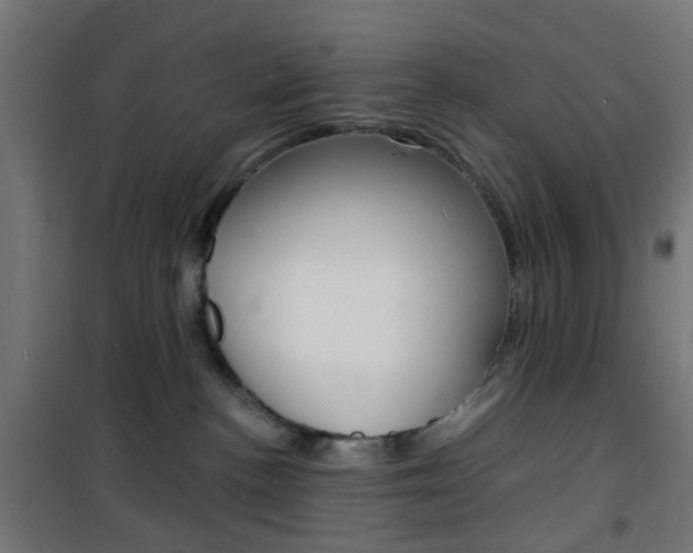 X0000101480188200807071252