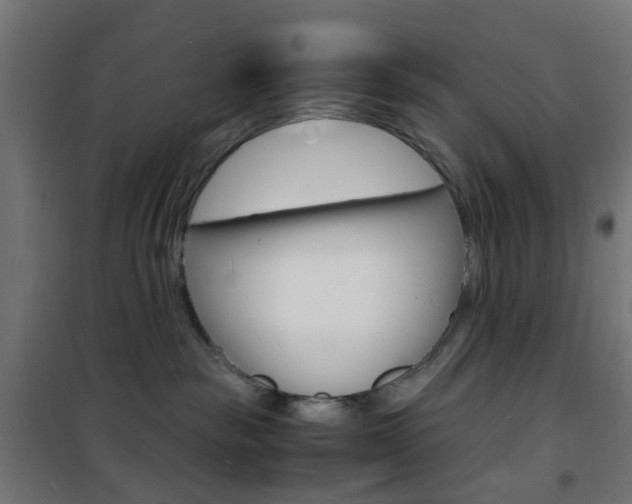X0000101480189200807071252