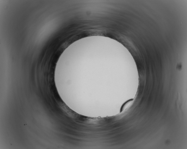 X0000101480190200807071252