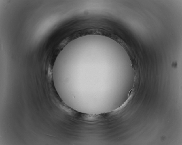 X0000101480191200807071252