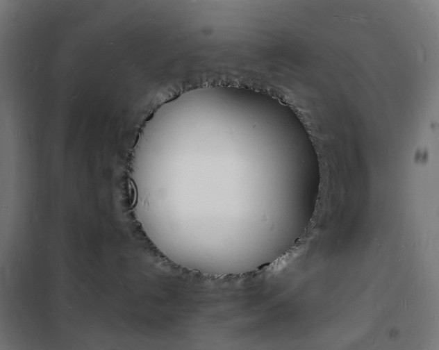X0000101480192200807071252