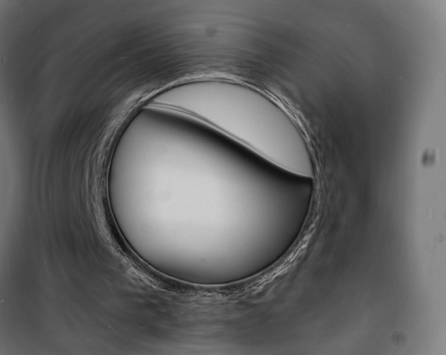 X0000101480193200807071251