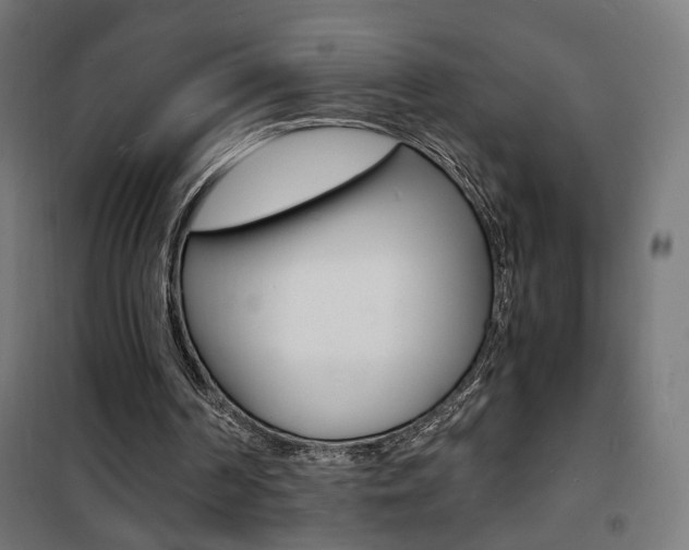 X0000101480194200807071251
