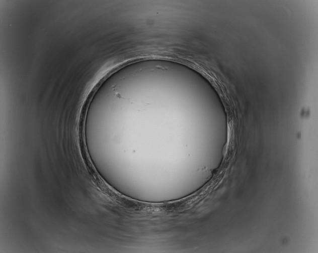 X0000101480195200807071251
