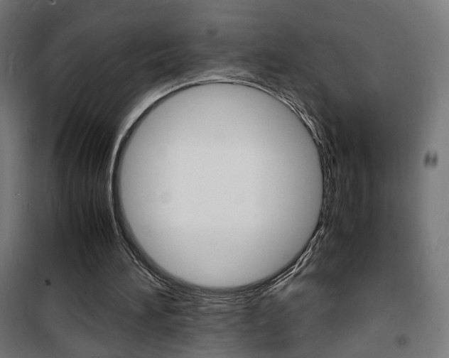 X0000101480196200807071251