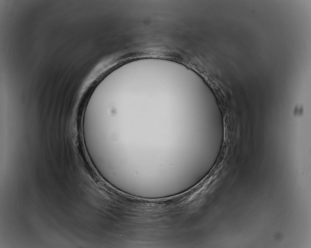 X0000101480198200807071251