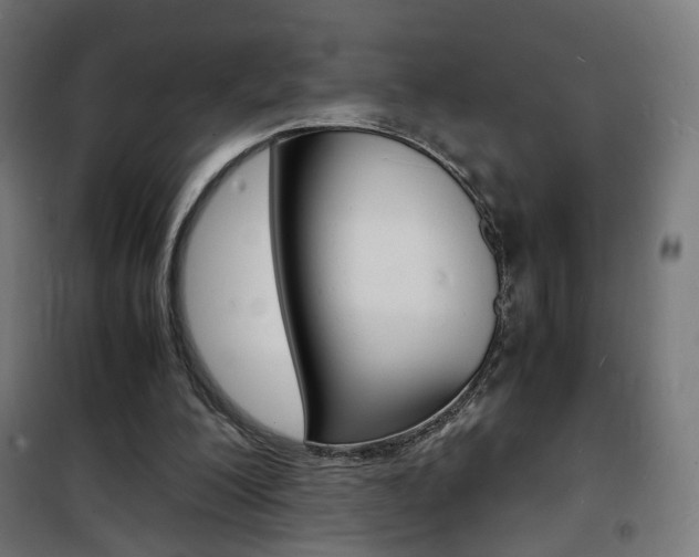 X0000101480200200807071251