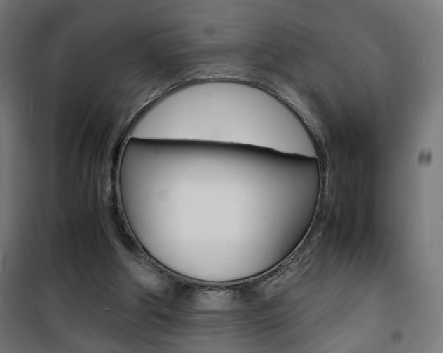 X0000101480202200807071251
