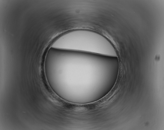 X0000101480203200807071251