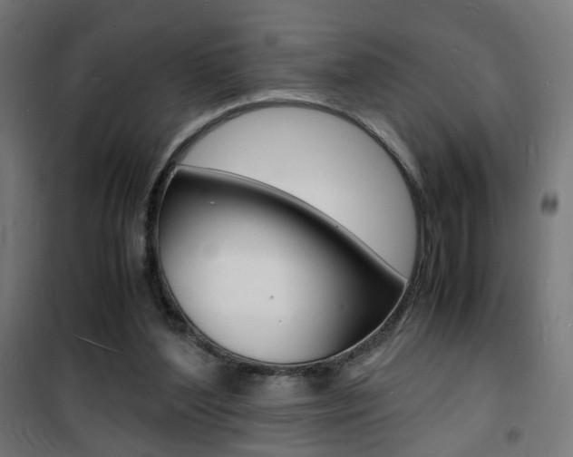 X0000101480204200807071251
