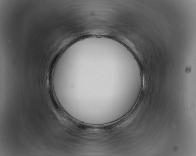 X0000101480205200807071251