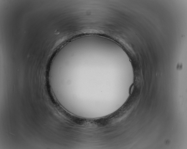 X0000101480207200807071251