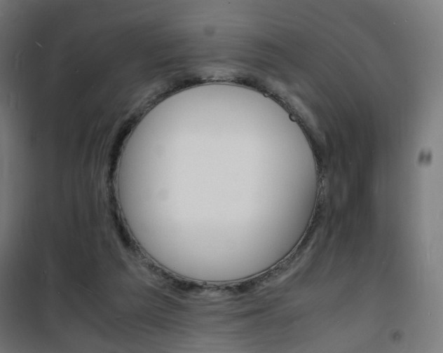 X0000101480209200807071251