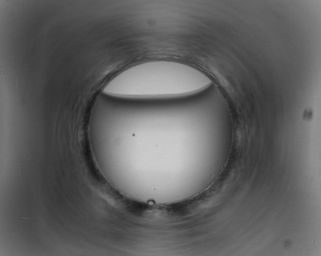 X0000101480211200807071251