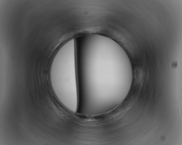 X0000101480212200807071251