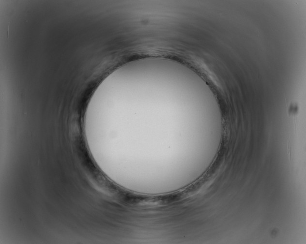 X0000101480213200807071251