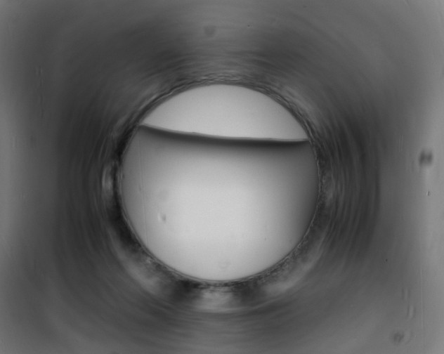X0000101480214200807071251
