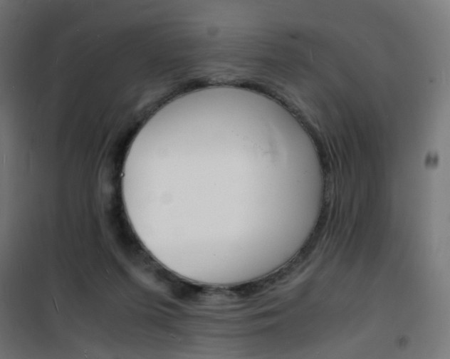 X0000101480215200807071251