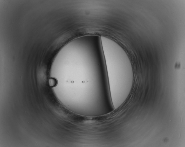 X0000101480216200807071251