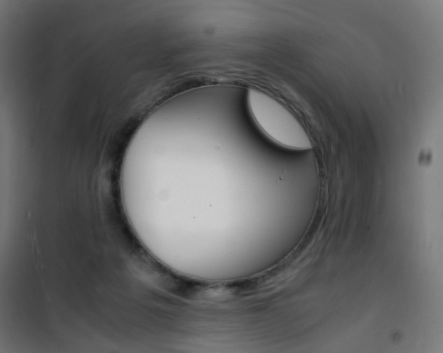 X0000101480217200807071251