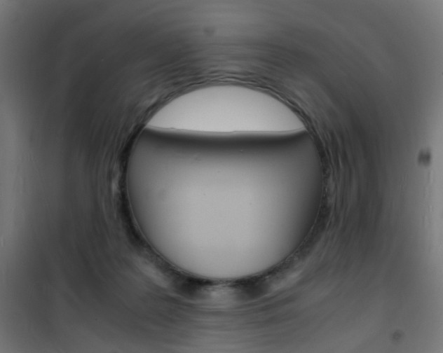X0000101480219200807071251