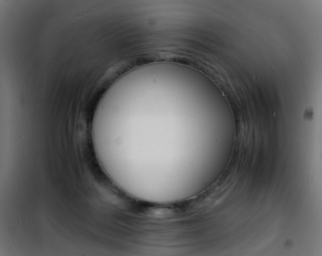 X0000101480220200807071251