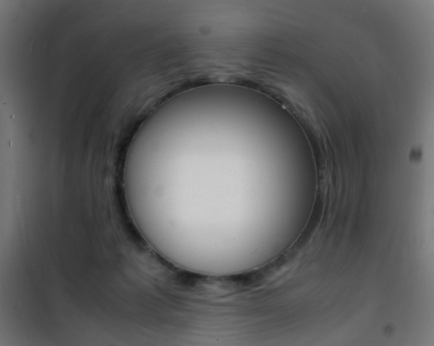 X0000101480221200807071251