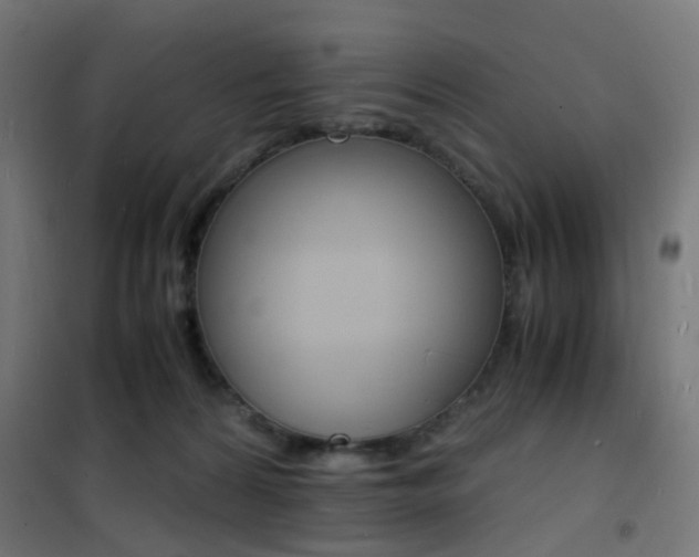 X0000101480224200807071251