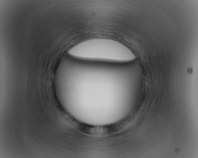 X0000101480225200807071251