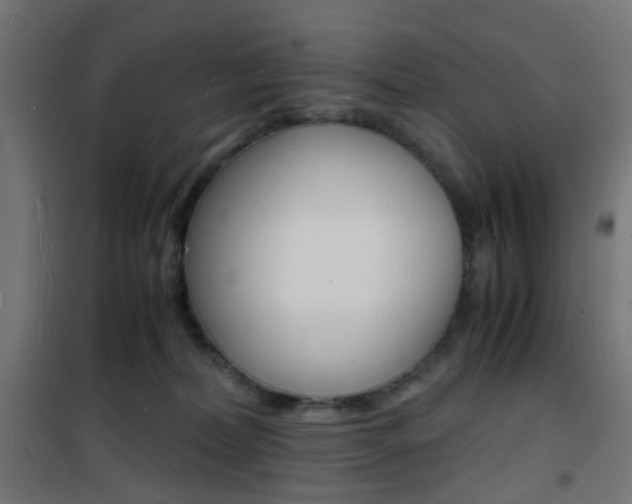 X0000101480228200807071251