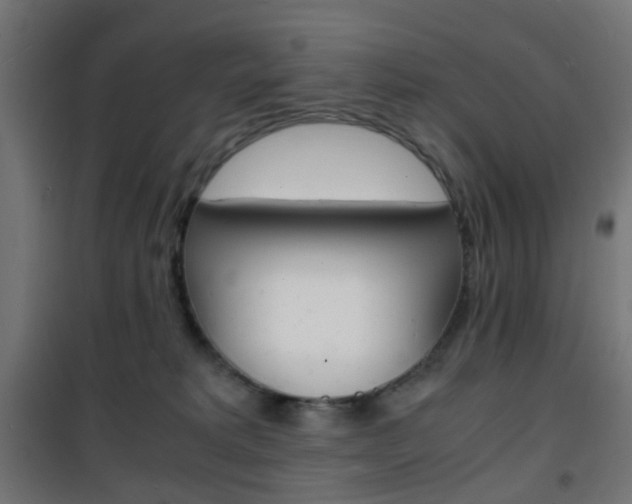 X0000101480229200807071251
