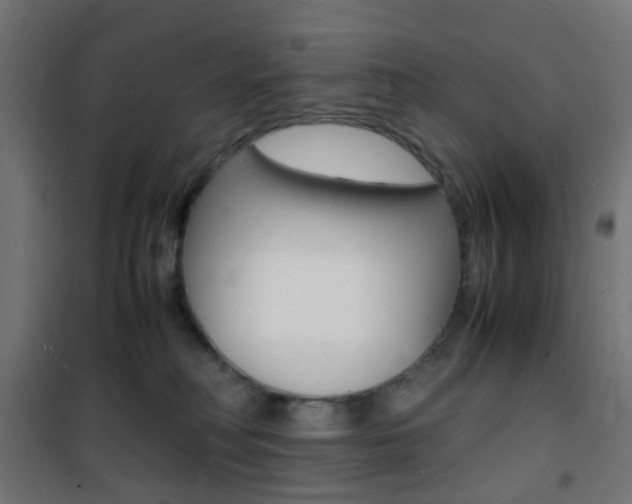 X0000101480230200807071251