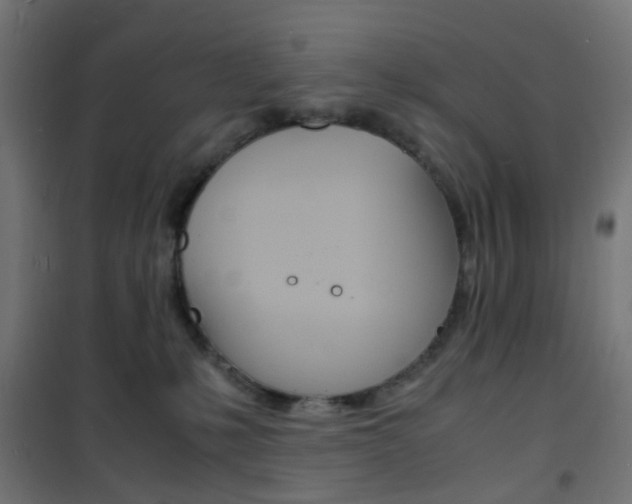 X0000101480231200807071251