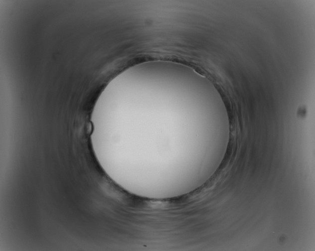 X0000101480233200807071250