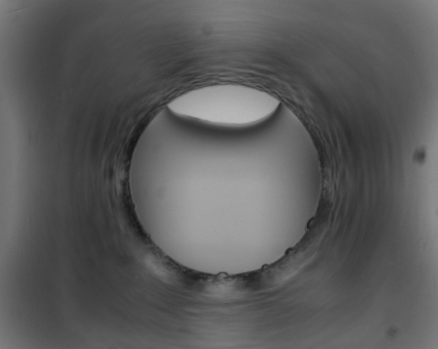 X0000101480235200807071250