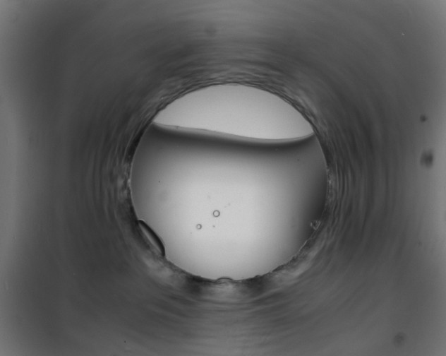 X0000101480237200807071250