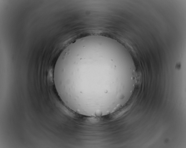 X0000101480238200807071250