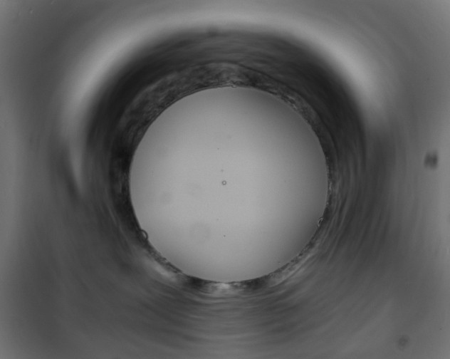 X0000101480239200807071250