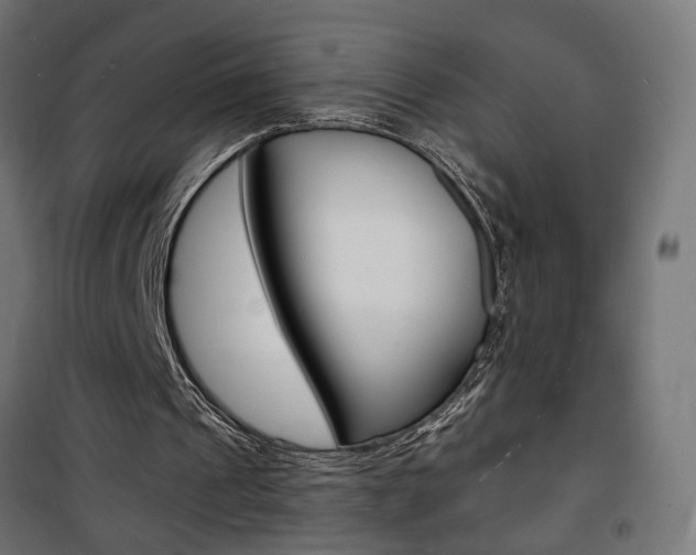 X0000101480241200807071250