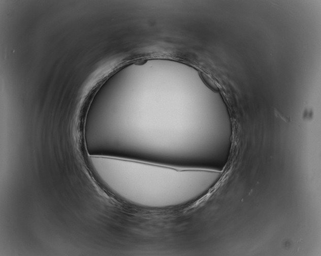 X0000101480245200807071250
