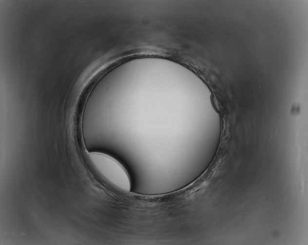 X0000101480247200807071250