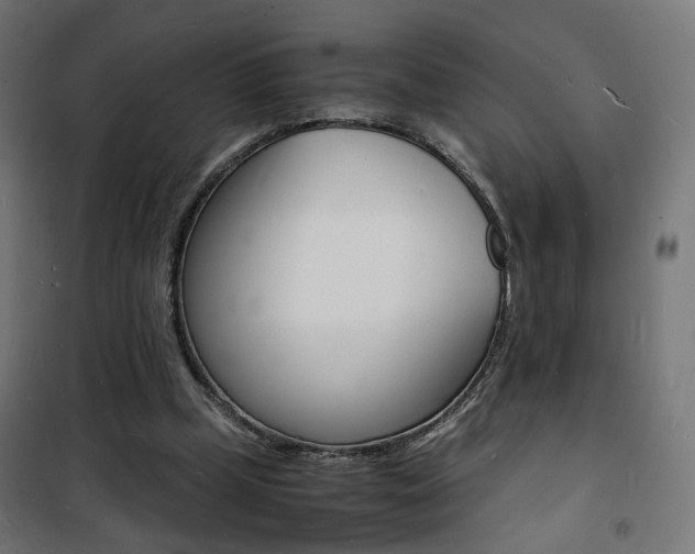 X0000101480249200807071250