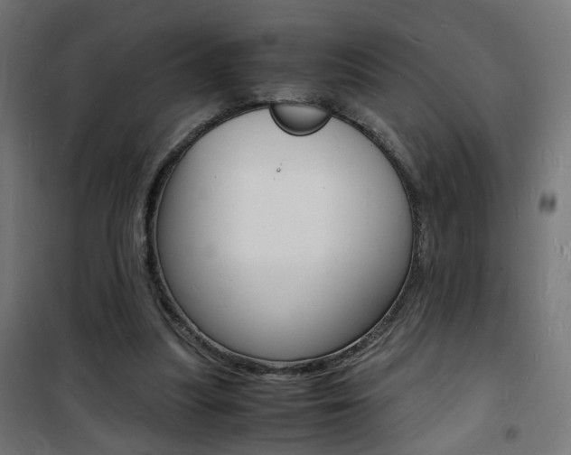 X0000101480251200807071250