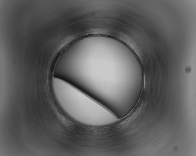 X0000101480253200807071250