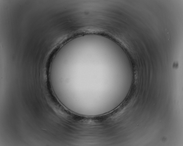 X0000101480254200807071250