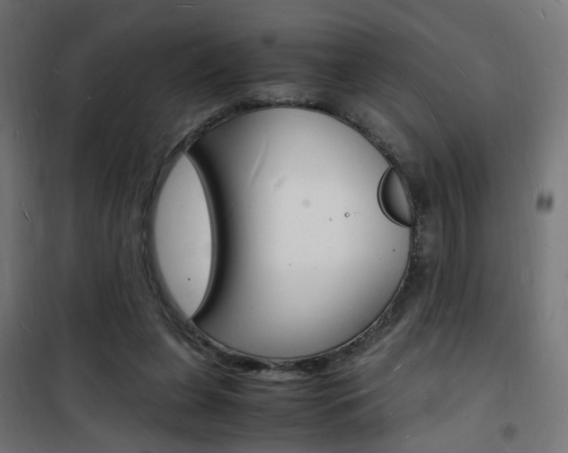 X0000101480255200807071250