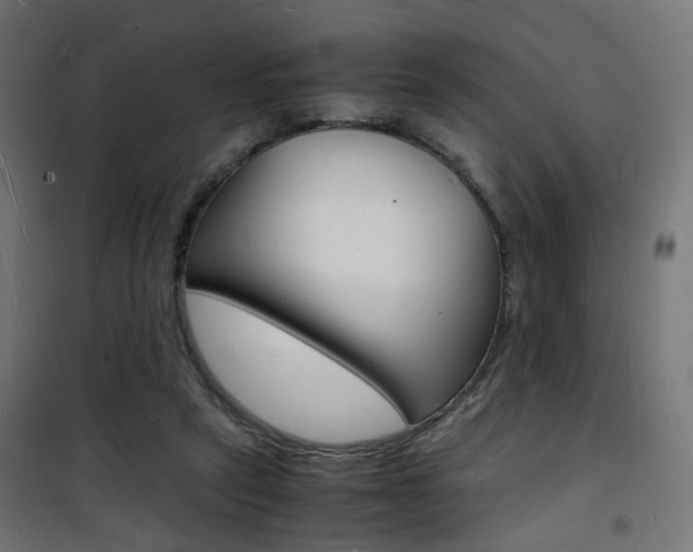 X0000101480257200807071250