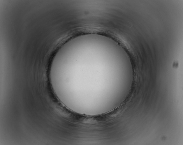 X0000101480258200807071250